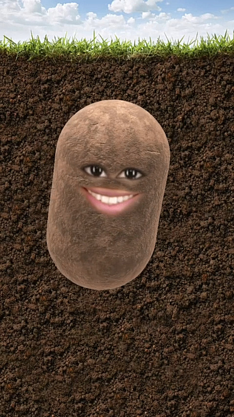 8 Snapchat Lens Creators You Should Know August Lenslist Blog