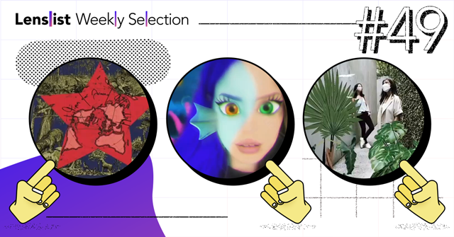 dolphin  Search Snapchat Creators, Filters and Lenses